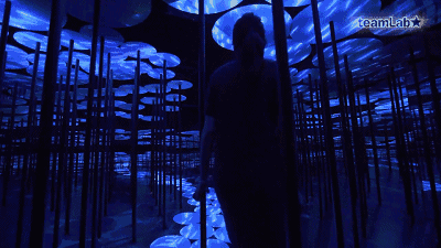 teamLab ˮcˮ֮g