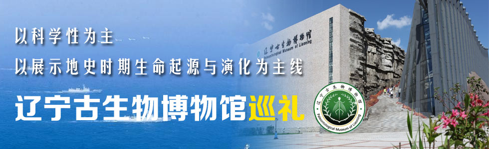 展示地史時期生命起源與演化的遼寧古生物博物館